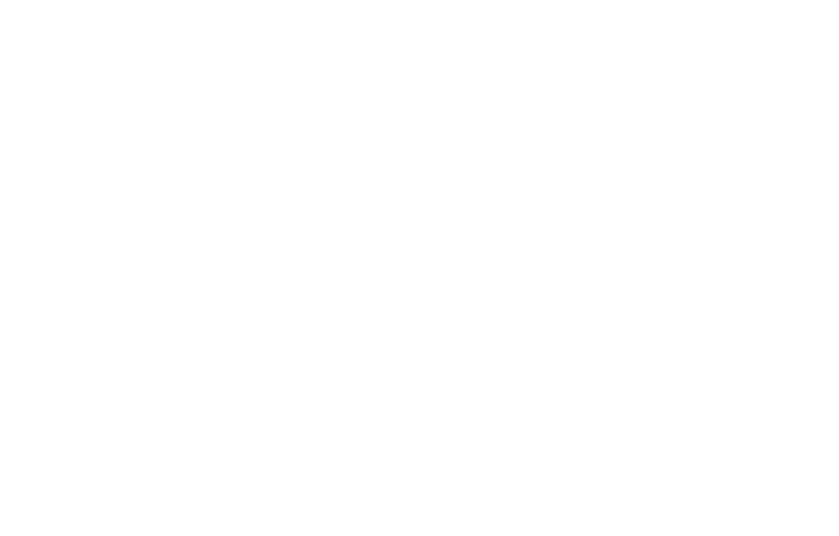 Richardson Insurance Group LLC